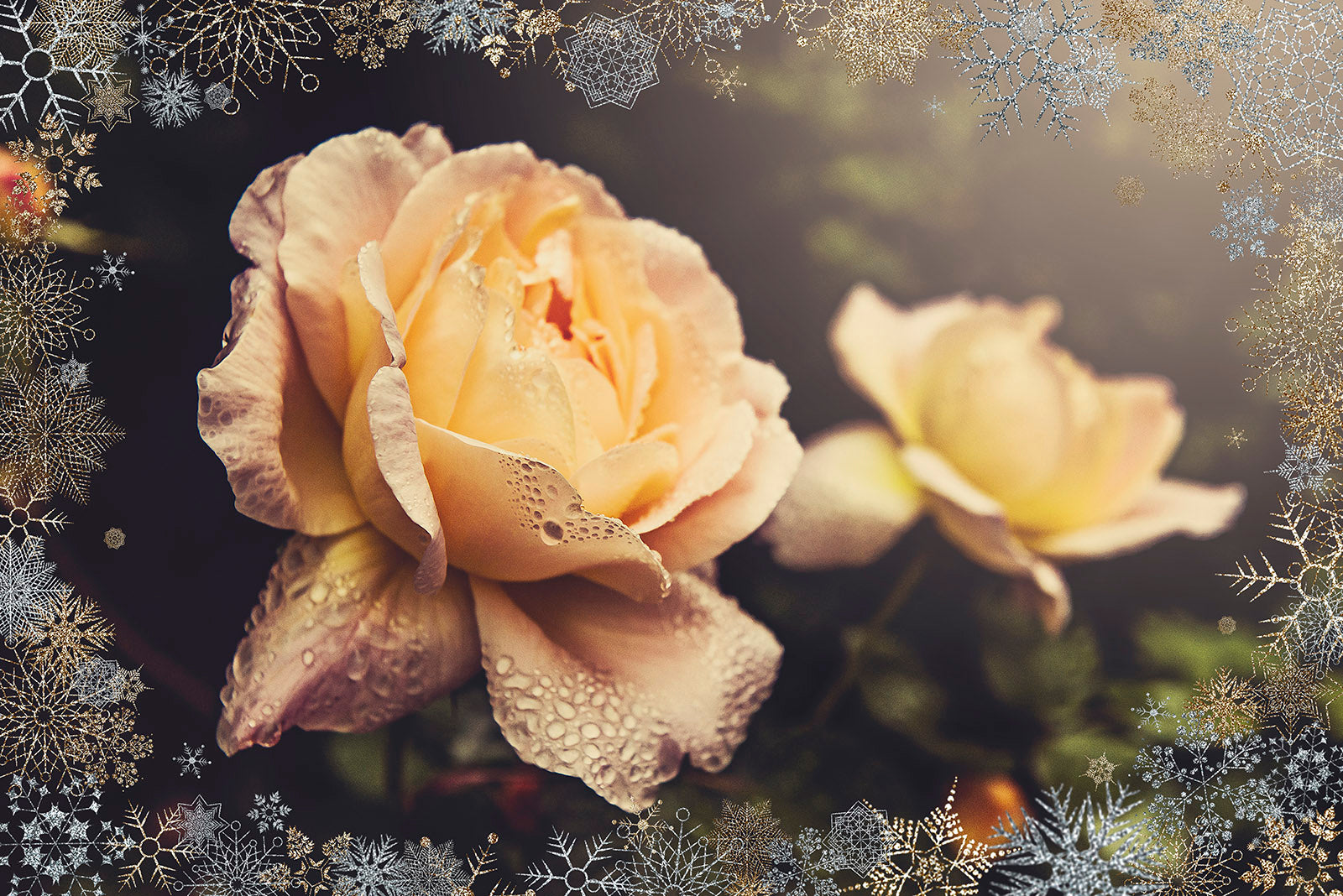 SILVER SNOWFLAKE & GLITTER FRAMES - Clipart