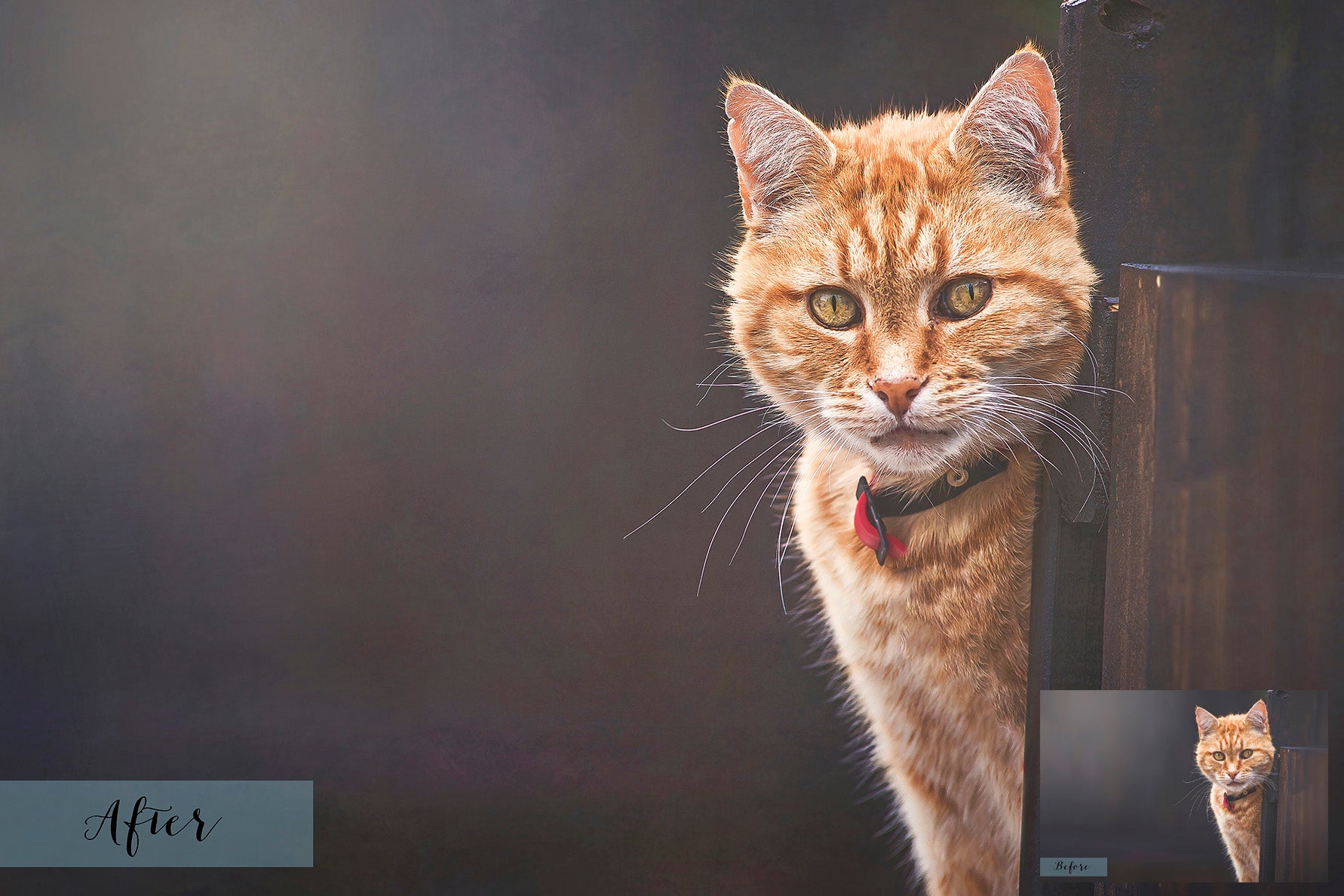 10 colourful Textures, Textures, Photoshop Textures, Digital Textures, Vintage Textures, Hi Resolution Textures, Hi-Res Textures, ATP Textures, photoshop mix textures, artsy textures, Graphic Design, playful Textures, Antique Textures, Vintage Textures, scrap booking, Texture Overlay, photoshop, fun