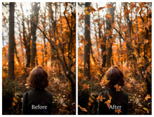 Load image into Gallery viewer, 60 Leaf overlays for photography and digital scrapbooking. High resolution, leaves, autumn overlays, fall overlay, photo overlays by ATP textures.
