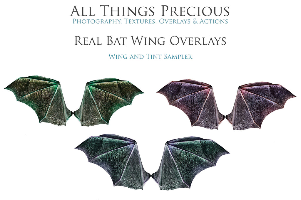 Bat Wings Overlays For Photography, Photoshop, Digital art and Creatives. Transparent, high resolution wings for photographers. PNG overlays for fantasy digital art and Child portraiture. colour, fairy wings. Photo Overlays. Digital download. Graphic effects. ATP Textures