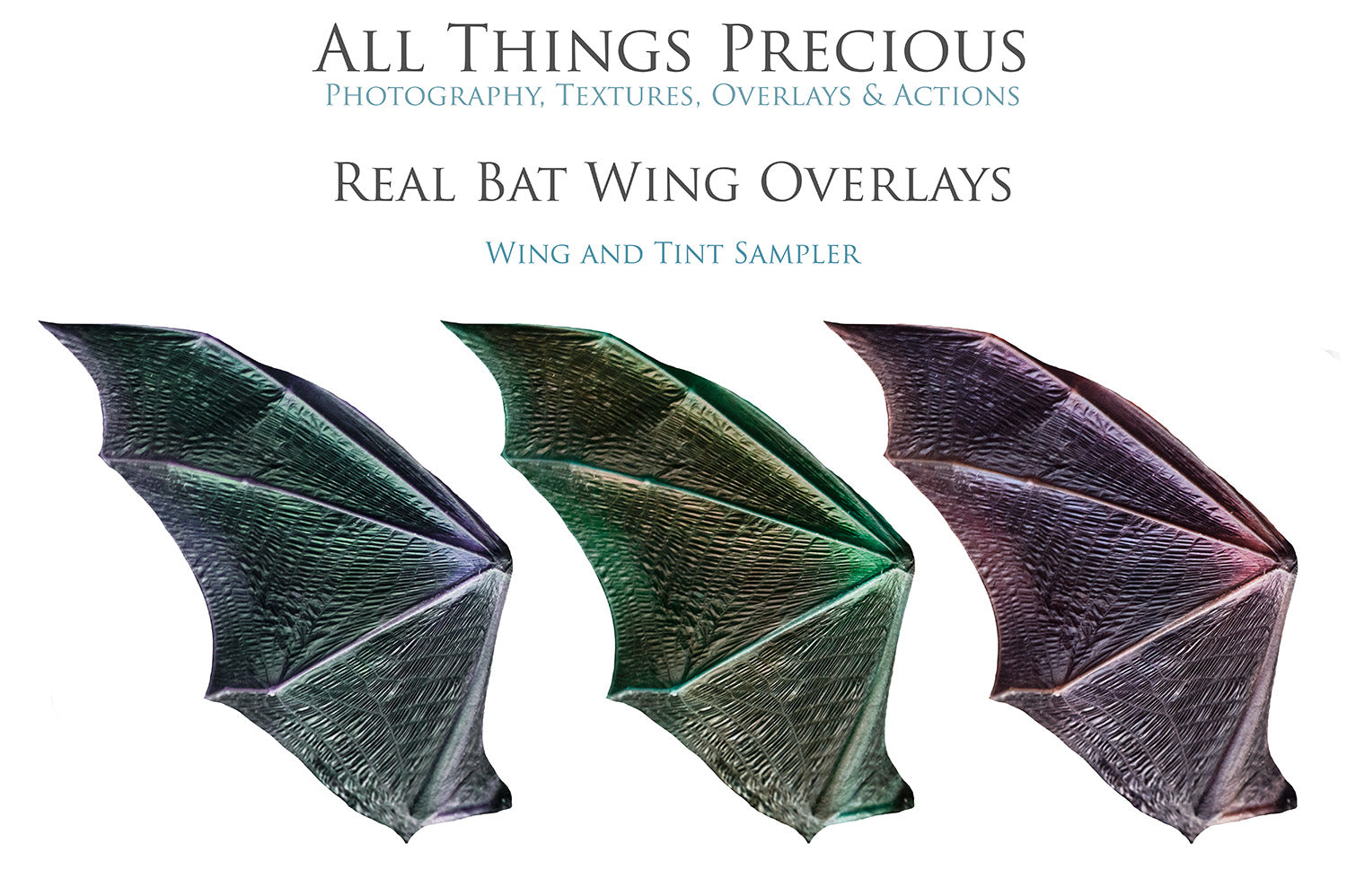 folded bat wings