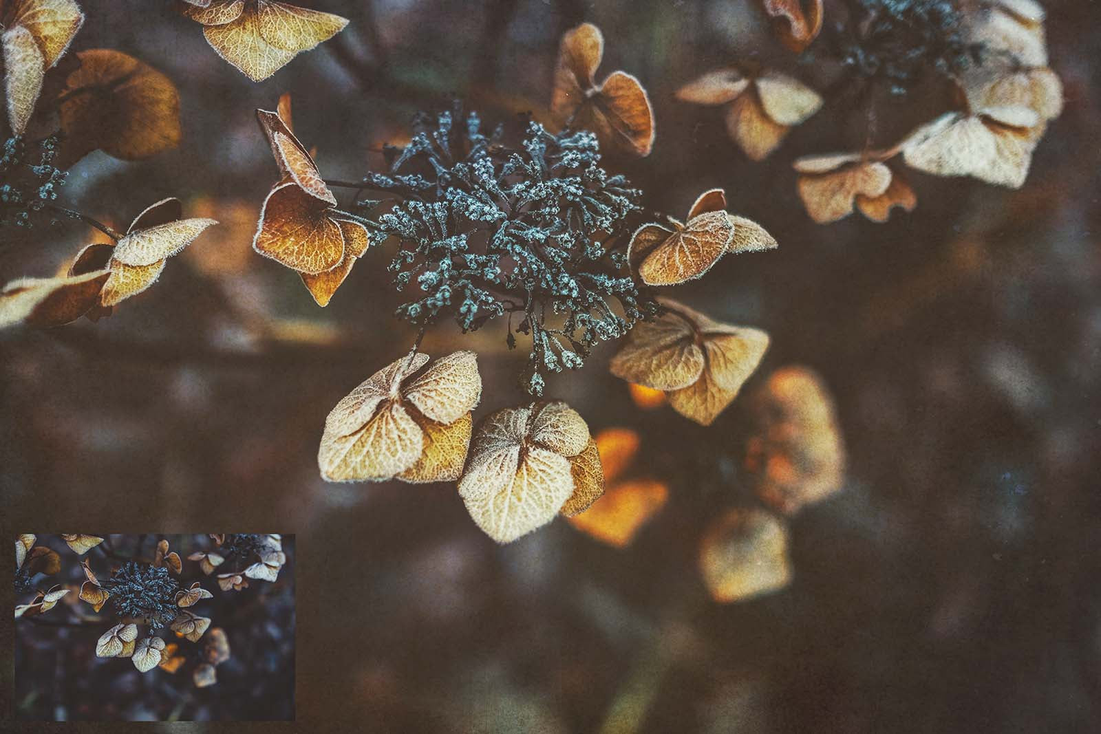 Fine Art Textures. For photography or print as backdrops. High resolution download files. Grunge, Warm, Light, Digital Add Ons. Canvas, Dark, Painterly, Color design. Digital Background Jpeg overlay. Scrapbooking Paper, Printable Wall Art, Photoshop editing Graphic Assets. by ATP textures.