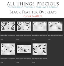 Load image into Gallery viewer, BLACK FEATHERS &amp; WING Digital Overlays
