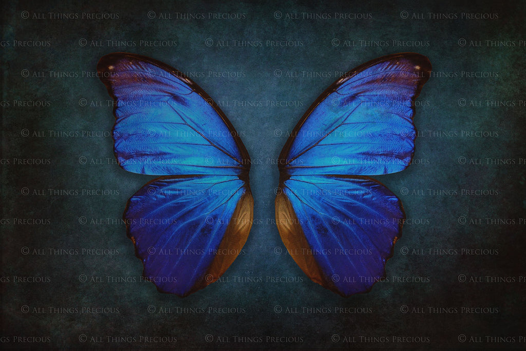 DIGITAL BACKDROP - Butterflies Set 1