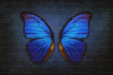 Load image into Gallery viewer, DIGITAL BACKDROP - Butterflies Set 1
