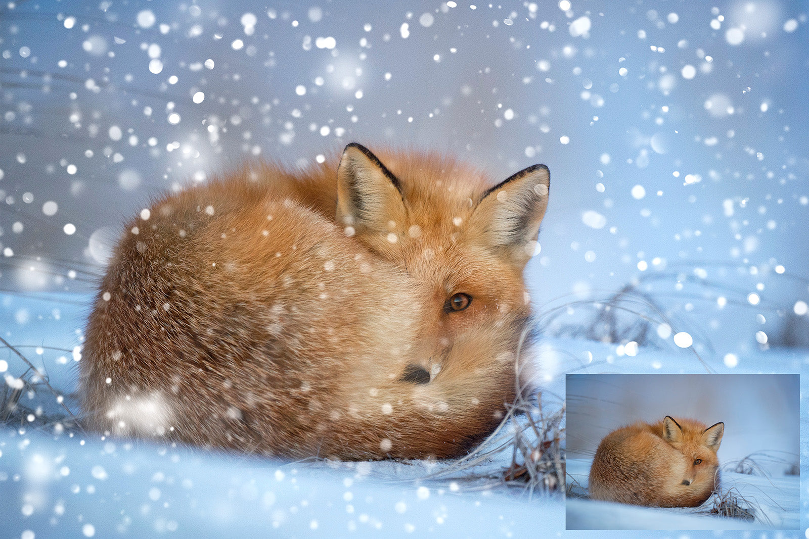 Png overlays for photography, digital art, scrapbooking. Png Bokeh overlays, Snow Overlays, Sun flare overlays, Photo overlays, Sunlight Overlays by ATP textures.