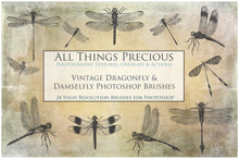 Load image into Gallery viewer, DRAGONFLY PHOTOSHOP BRUSHES
