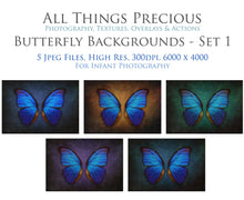 Load image into Gallery viewer, DIGITAL BACKDROP - Butterflies Set 1
