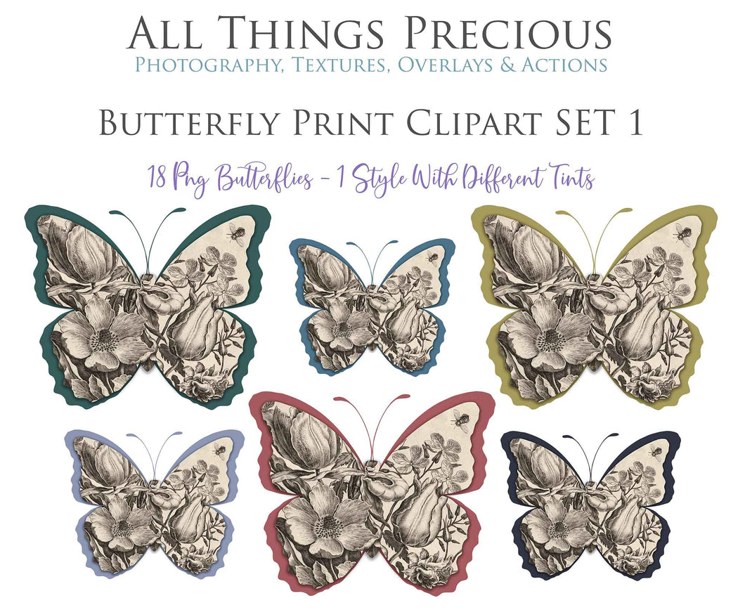 BUTTERFLY PRINT CLIPART Set 1 - Clipart