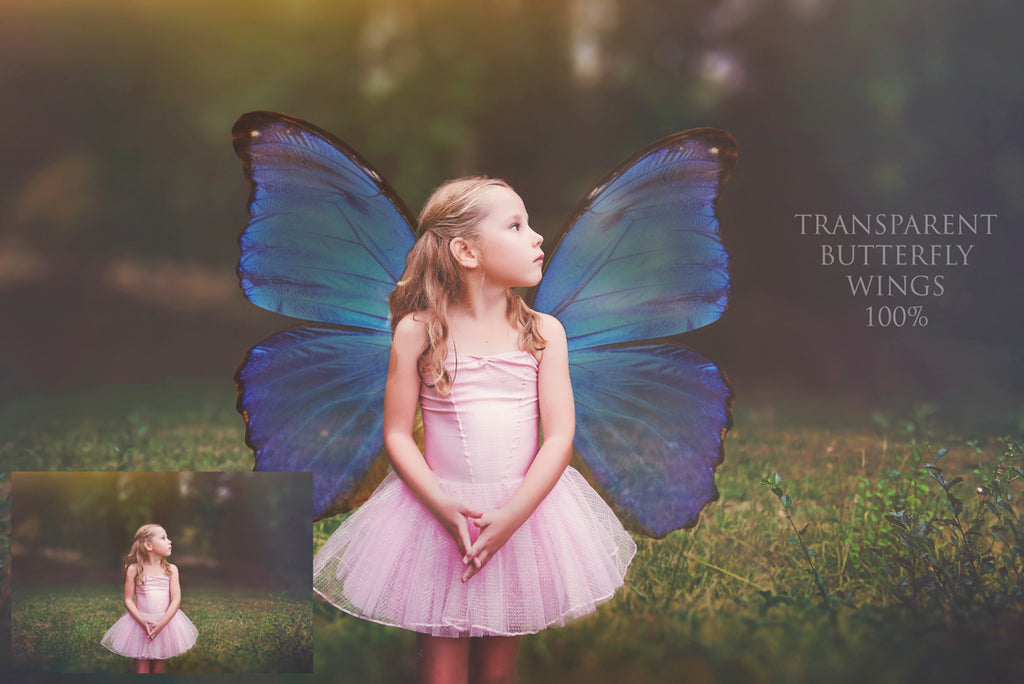 Fairy Wing & Butterfly Overlays For Photographers, Photoshop, Digital art and Creatives. Butterfly fairy wings, Png overlays for photoshop. Photography editing. High resolution, 300dpi. Overlay for photography. Digital stock and resources. Graphic design. Wings for Photos. Colourful Faerie Wings. Butterflies. Overlays for Edits.