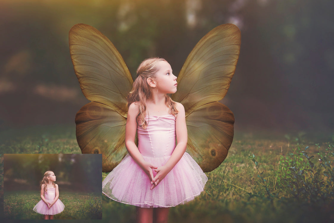 Butterfly fairy wings, Png overlays for photoshop. Photography editing. High resolution, 300dpi fairy wings. Overlays for photography. Digital stock and resources. Graphic design. Fairy Photos. Colourful Fairy wings. Faerie Wings.