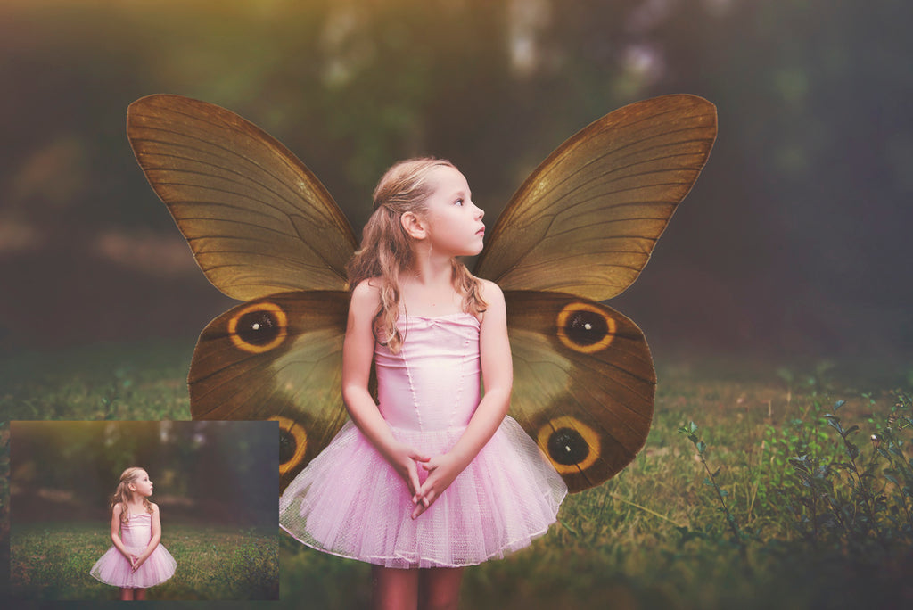 Butterfly fairy wings, Png overlays for photoshop. Photography editing. High resolution, 300dpi fairy wings. Overlays for photography. Digital stock and resources. Graphic design. Fairy Photos. Colourful Fairy wings. Faerie Wings.