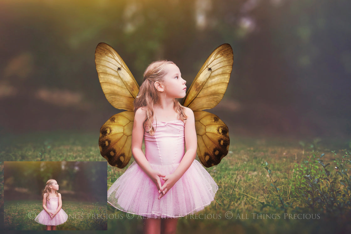 Butterfly fairy wings, Png overlays for photoshop. Photography editing. High resolution, 300dpi. Overlay for photography. Digital stock and resources. Graphic design. Wings for Photos. Colourful Faerie Wings.