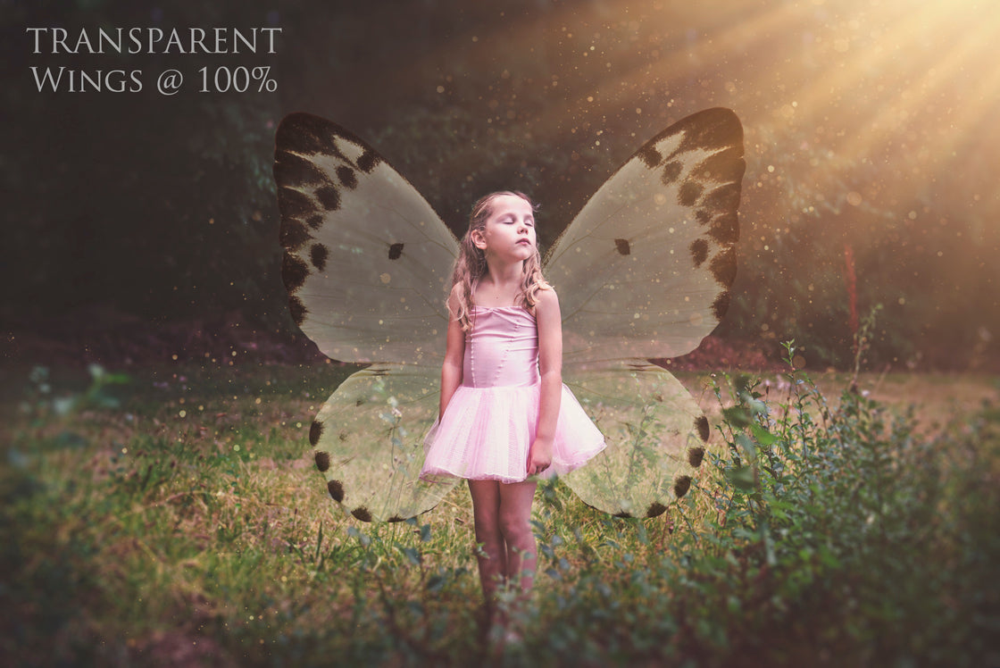Butterfly fairy wings, Png overlays for photoshop. Photography editing. High resolution, 300dpi. Overlay for photography. Digital stock and resources. Graphic design. Wings for Photos. Colourful Faerie Wings.