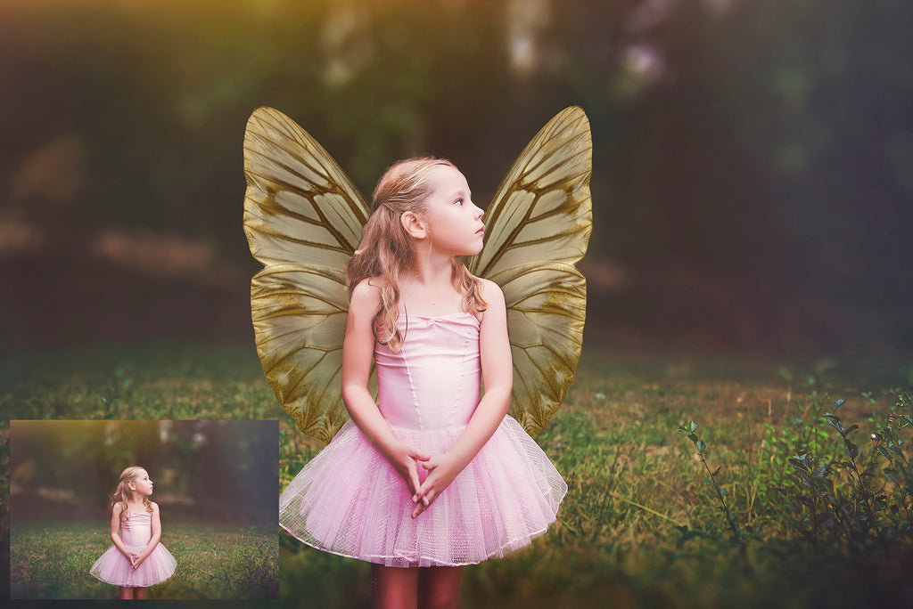 Digital Faery Wing Overlays. Png overlays for photoshop. Photography editing. High resolution, 300dpi fairy wings. Overlays for photography. Digital stock and resources. Graphic design. Fairy Photos. Colourful Fairy wings. Faerie Wings. ATP Textures. Overlays. Actions, Textures, Photo Resources, Photoshop. 