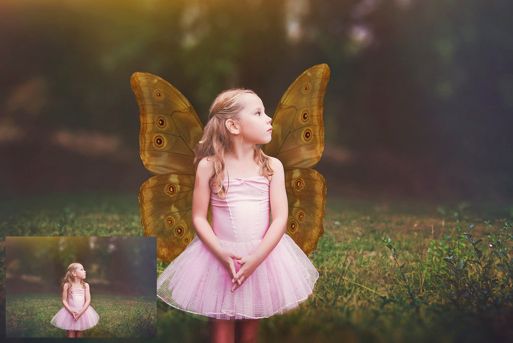 Digital Faery Wing Overlays. Png overlays for photoshop. Photography editing. High resolution, 300dpi fairy wings. Overlays for photography. Digital stock and resources. Graphic design. Fairy Photos. Colourful Fairy wings. Faerie Wings. ATP Textures. Overlays. Actions, Textures, Photo Resources, Photoshop. 