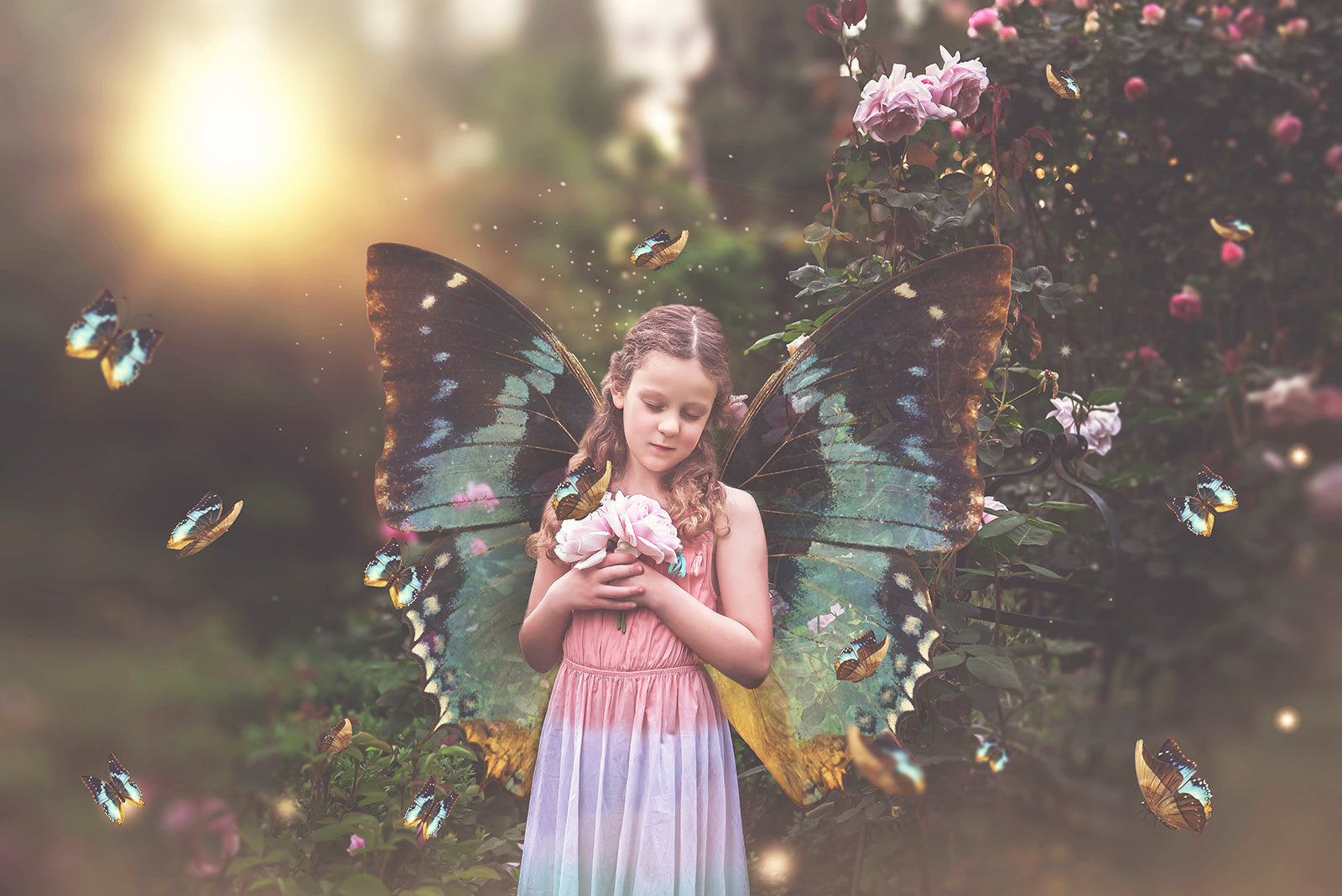 Fairy Wing & Butterfly Overlays For Photographers, Photoshop, Digital art and Creatives. Butterfly fairy wings, Png overlays for photoshop. Photography editing. High resolution, 300dpi. Overlay for photography. Digital stock and resources. Graphic design. Wings for Photos. Colourful Faerie Wings. Butterflies. Overlays for Edits.