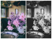 Load image into Gallery viewer, BLACK and WHITE Mini Set Photoshop Actions

