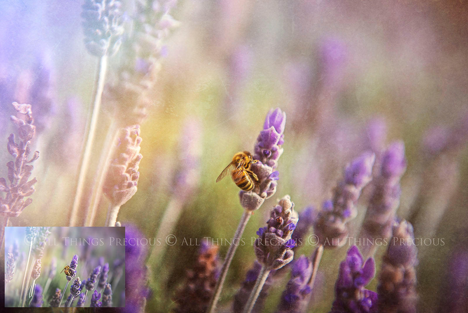 40 High resolution Textures for Photographers, Photoshop, Digital art and Creatives. Digital photography edits, Photoshop. Scratch, Fine Art Antique, Vintage, Grunge, Light, Dark Bundle. Textured printable Canvas, Colour, Monochrome, Bundle. Graphic Assets for photography, digital scrapbooking and design. ATP Textures