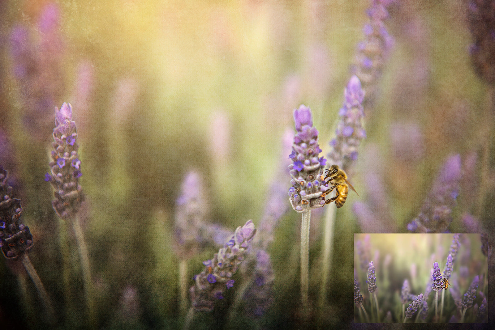 Mixed bundle textures. Fine art texture for photographers, digital editing. Photo Overlays. Antique, Vintage, Grunge, Light, Dark Bundle. Textured printable Canvas, Colour, Monochrome, Bundle. High resolution, 300dpi Graphic Assets for photography, digital scrapbooking and design. By ATP Textures