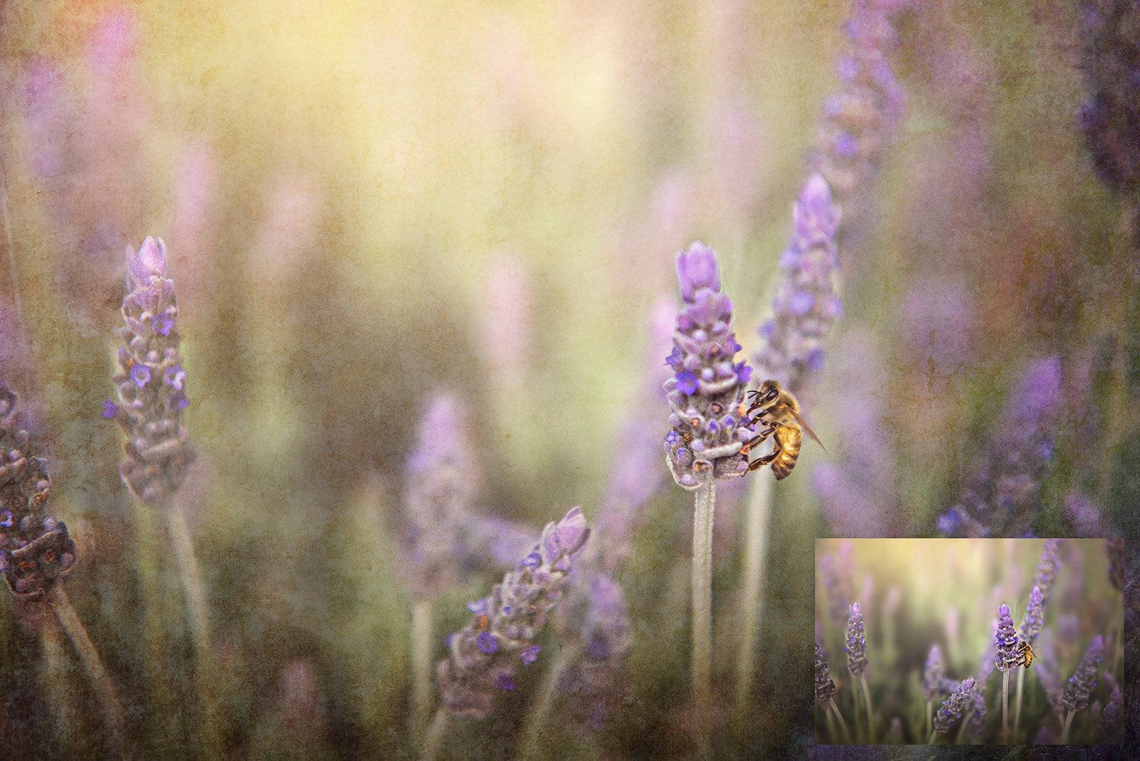 Fine art textures. Texture for photographers and digital editing. Photo Overlays. Antique, Vintage, Grunge, Light, Dark Bundle. Textured printable Canvas, Colour, Monochrome, Bundle. High resolution, 300dpi Graphic Assets for photography, digital scrapbooking and design. By ATP Textures