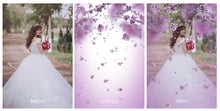 Load image into Gallery viewer, BLOSSOM PETALS AND BRANCHES Digital Overlays
