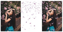 Load image into Gallery viewer, BLOSSOM PETALS AND BRANCHES Digital Overlays
