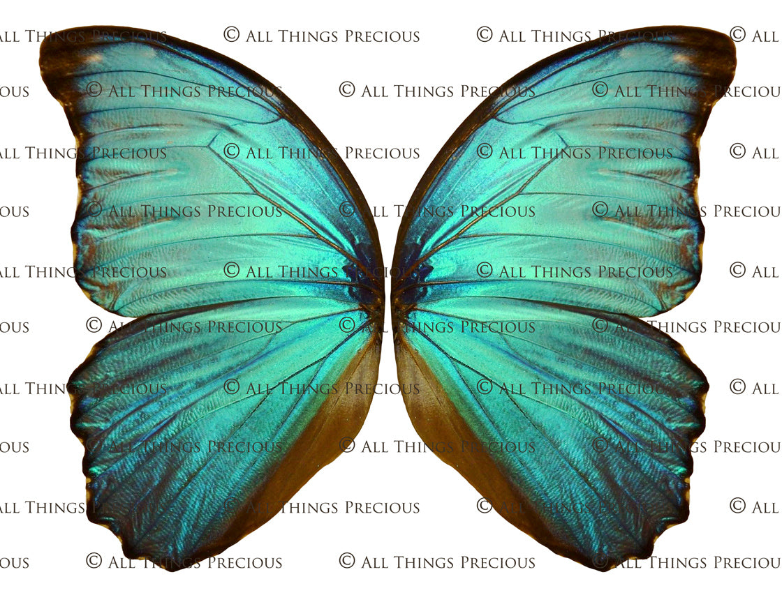 Digital Faery Wing Overlays. Png overlays for photoshop. Photography editing. High resolution, 300dpi fairy wings. Overlays for photography. Digital stock and resources. Graphic design. Fairy Photos. Colourful Fairy wings. Faerie Wings. ATP Textures. Overlays. Actions, Textures, Photo Resources, Photoshop. 