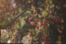 Load image into Gallery viewer, 10 Fine Art TEXTURES - BLUESTONE Set 2
