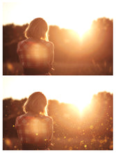 Load image into Gallery viewer, BUNDLE - 80 FAIRY WING OVERLAYS - Set 3
