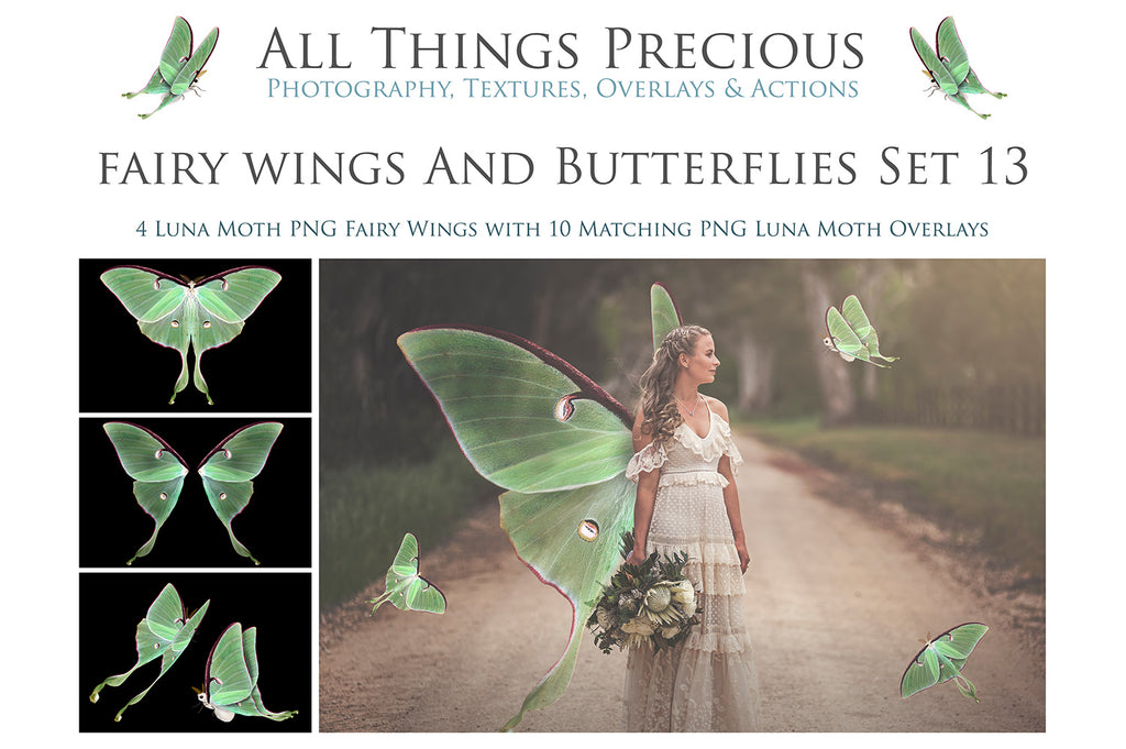 Fairy Wing & Butterfly Overlays For Photographers, Photoshop, Digital art and Creatives. Butterfly fairy wings, Png overlays for photoshop. Photography editing. High resolution, 300dpi. Overlay for photography. Digital stock and resources. Graphic design. Wings for Photos. Colourful Faerie Wings. Butterflies. Overlays for Edits. Luna Moth.