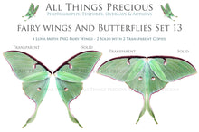 Load image into Gallery viewer, Fairy Wing &amp; Butterfly Overlays For Photographers, Photoshop, Digital art and Creatives. Butterfly fairy wings, Png overlays for photoshop. Photography editing. High resolution, 300dpi. Overlay for photography. Digital stock and resources. Graphic design. Wings for Photos. Colourful Faerie Wings. Butterflies. Overlays for Edits. Luna Moth.
