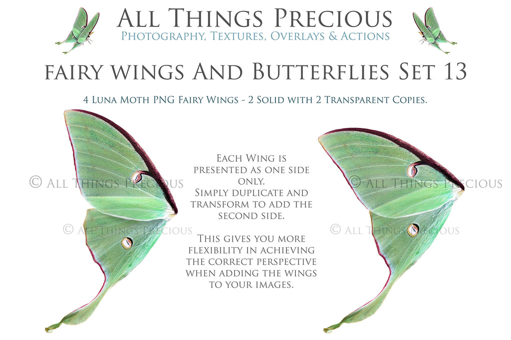 Fairy Wing & Butterfly Overlays For Photographers, Photoshop, Digital art and Creatives. Butterfly fairy wings, Png overlays for photoshop. Photography editing. High resolution, 300dpi. Overlay for photography. Digital stock and resources. Graphic design. Wings for Photos. Colourful Faerie Wings. Butterflies. Overlays for Edits. Luna Moth.