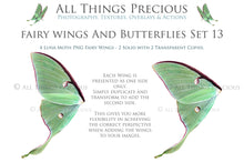 Load image into Gallery viewer, Fairy Wing &amp; Butterfly Overlays For Photographers, Photoshop, Digital art and Creatives. Butterfly fairy wings, Png overlays for photoshop. Photography editing. High resolution, 300dpi. Overlay for photography. Digital stock and resources. Graphic design. Wings for Photos. Colourful Faerie Wings. Butterflies. Overlays for Edits. Luna Moth.
