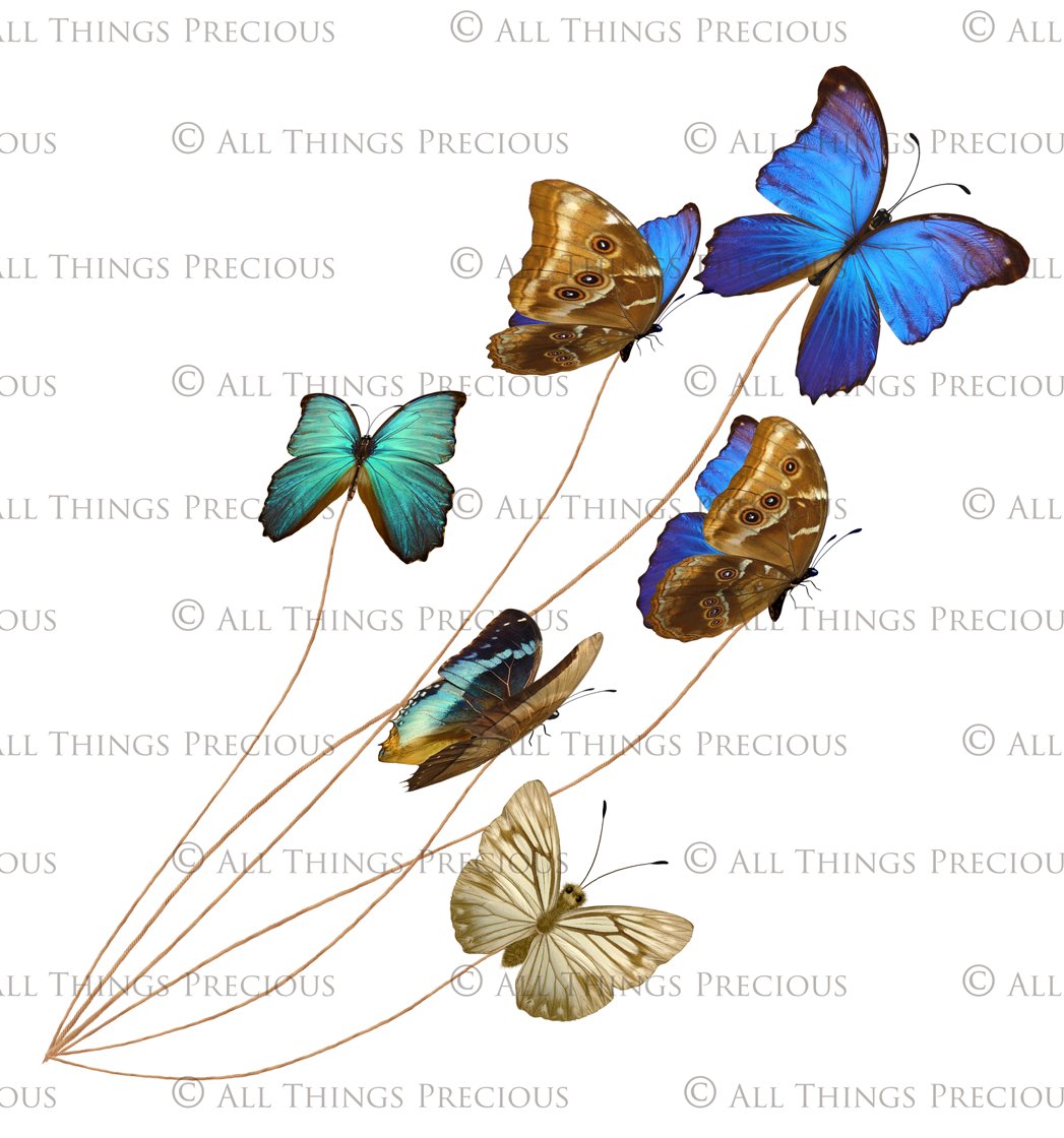Png overlays for photography, Digital scrapbooking. PNG Butterfly Overlays, butterfly clipart, high resolution overlay, fine art photo overlay by ATP textures.