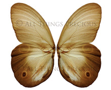 Load image into Gallery viewer, Butterfly fairy wings, Png overlays for photoshop. Photography editing. High resolution, 300dpi fairy wings. Overlays for photography. Digital stock and resources. Graphic design. Fairy Photos. Colourful Fairy wings. Faerie Wings.
