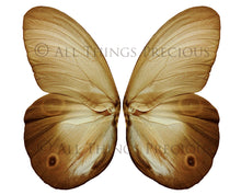 Load image into Gallery viewer, BUNDLE - 82 BUTTERFLY FAIRY WING OVERLAYS - Set 7
