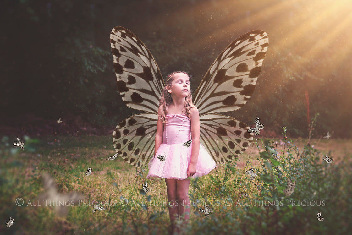 Butterfly fairy wings, Png overlays for photoshop. Photography editing. High resolution, 300dpi. Overlay for photography. Digital stock and resources. Graphic design. Wings for Photos. Colourful Faerie Wings. Butterflies. Overlays for Edits.
