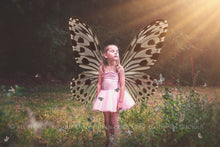 Load image into Gallery viewer, Butterfly fairy wings, Png overlays for photoshop. Photography editing. High resolution, 300dpi. Overlay for photography. Digital stock and resources. Graphic design. Wings for Photos. Colourful Faerie Wings. Butterflies. Overlays for Edits.
