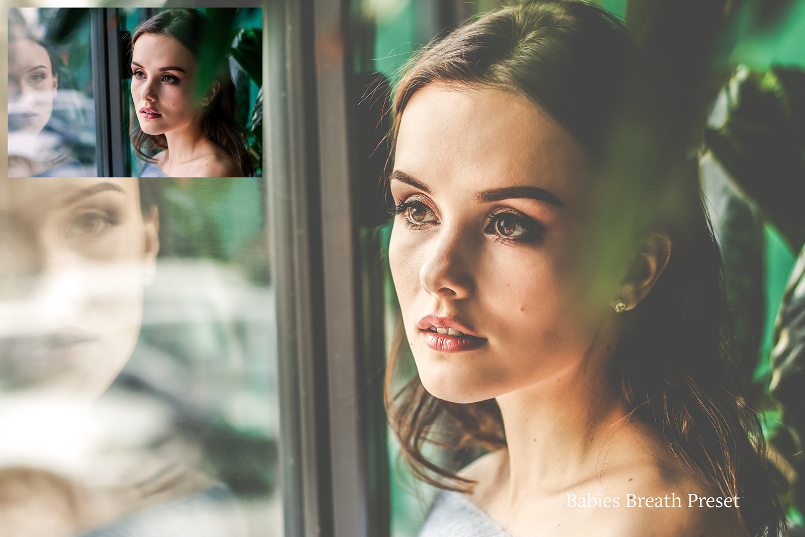 WOODLAND Set 1 Lightroom Presets - For Mobile and Desktop