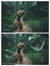 Load image into Gallery viewer, HEART BUBBLE Digital OVERLAYS
