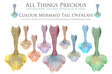 Load image into Gallery viewer, COLOURFUL MERMAID TAILS - Digital Overlays
