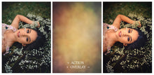Load image into Gallery viewer, 24 COLOUR INFUSE Digital Overlays Set 3
