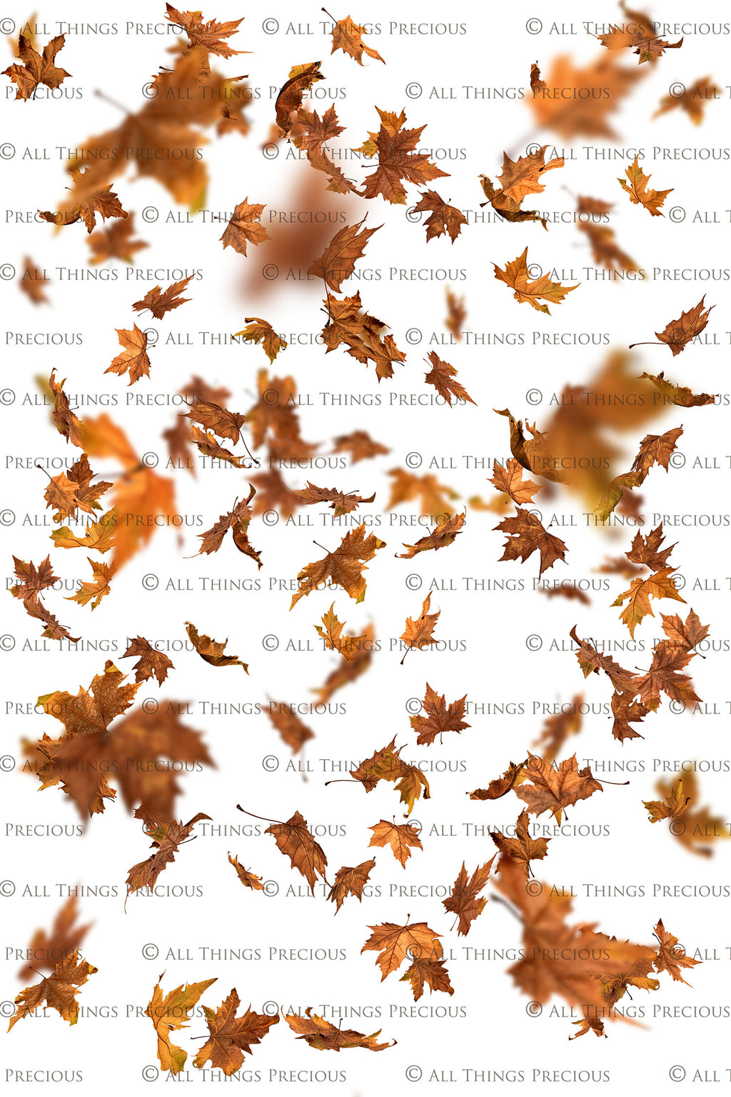 60 Leaf overlays for photography and digital scrapbooking. High resolution, leaves, autumn overlays, fall overlay, photo overlays by ATP textures.