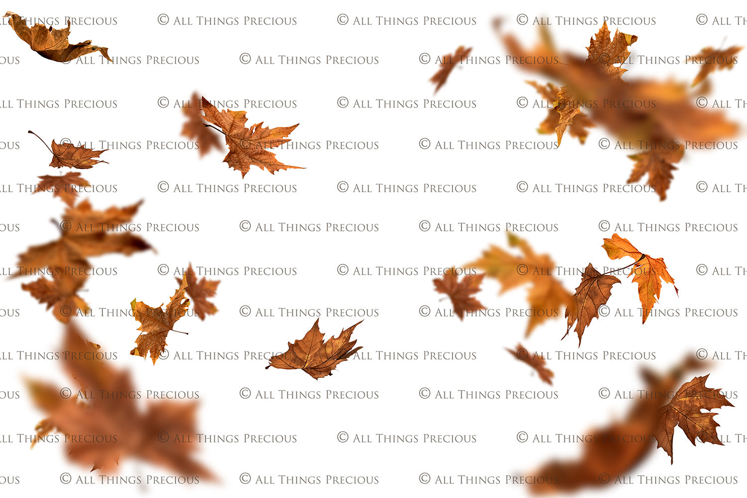 FALL LEAVES Digital Overlays