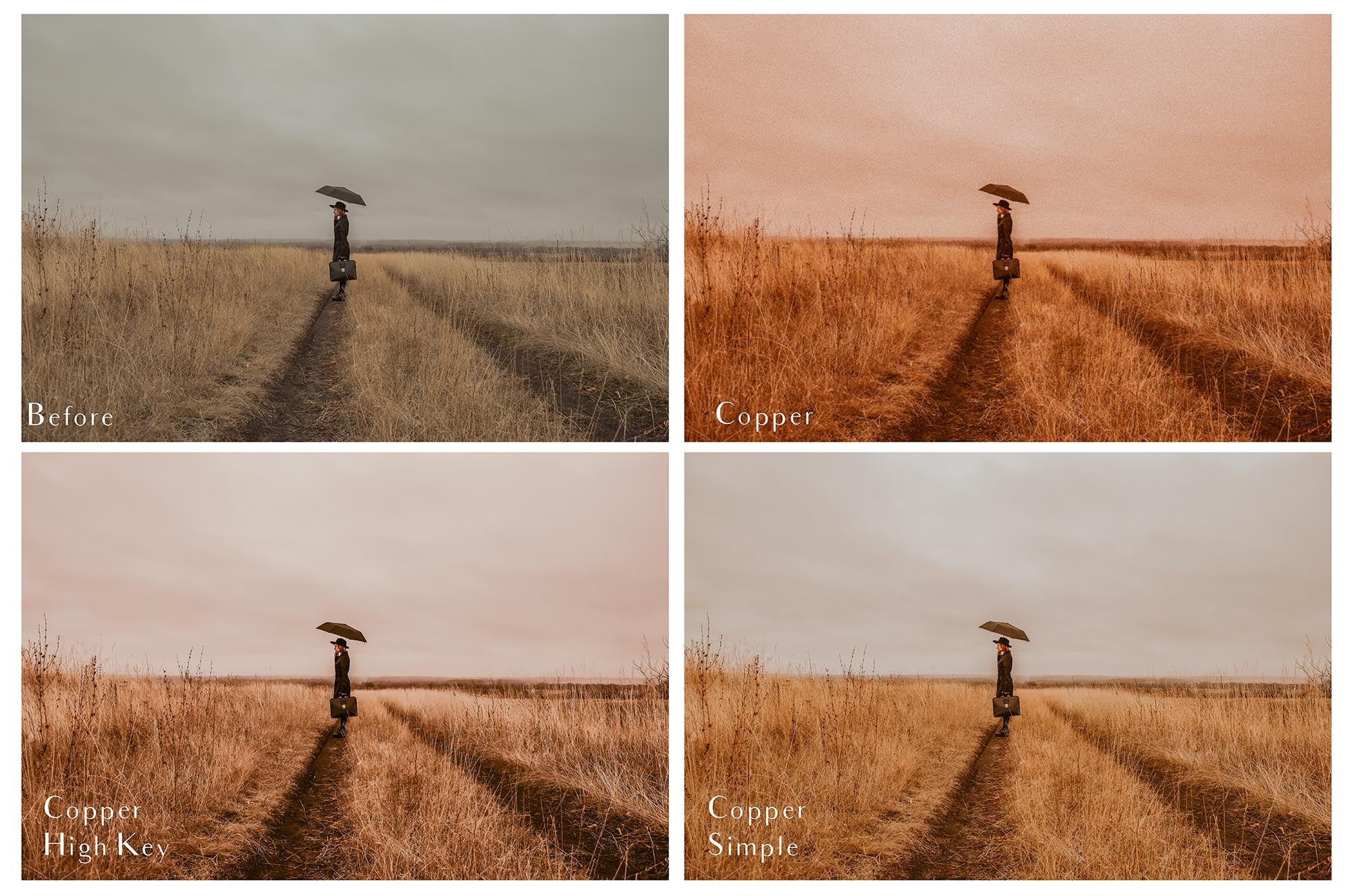 COPPER Lightroom Presets - For Mobile and Desktop