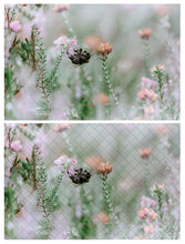 Load image into Gallery viewer, PNG WATERMARK &amp; PATTERN Digital Overlays
