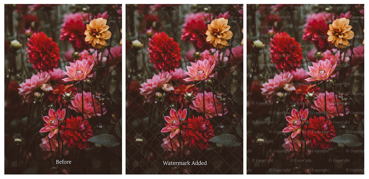 Copyright and Watermark Overlays with seamless Photoshop Patterns! A great way to protect you work.This includes transparent PNG pattern Overlays for photographers and graphic Artists. Digital assets for photography. ATP Textures