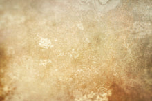 Load image into Gallery viewer, 10 Fine Art TEXTURES - CREAMY Set 5
