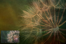 Load image into Gallery viewer, 10 Fine Art TEXTURES - CANVAS Set 4
